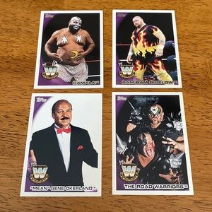 WWE Legends Wrestling 4 Cards